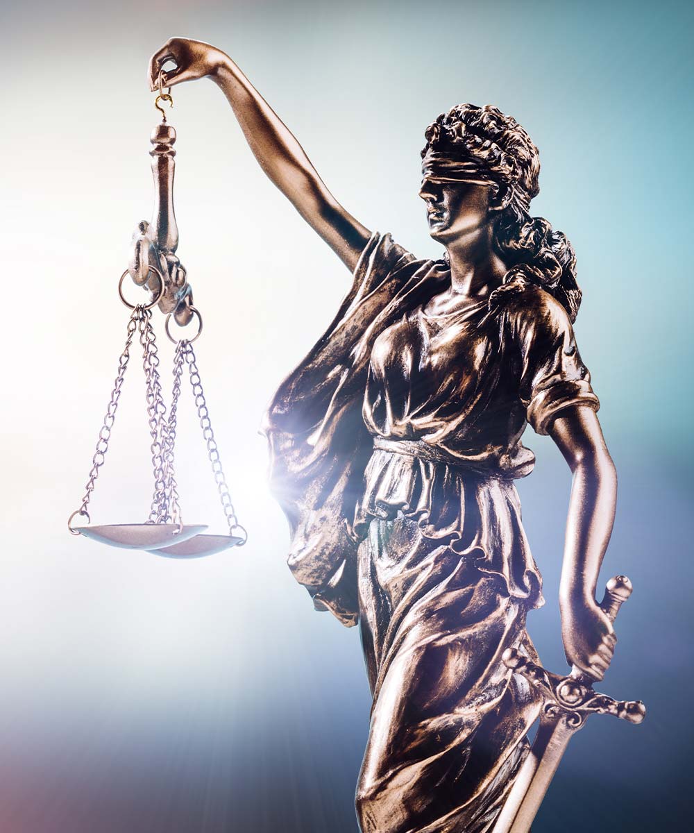 Law Firms – Expert Witness Testimony